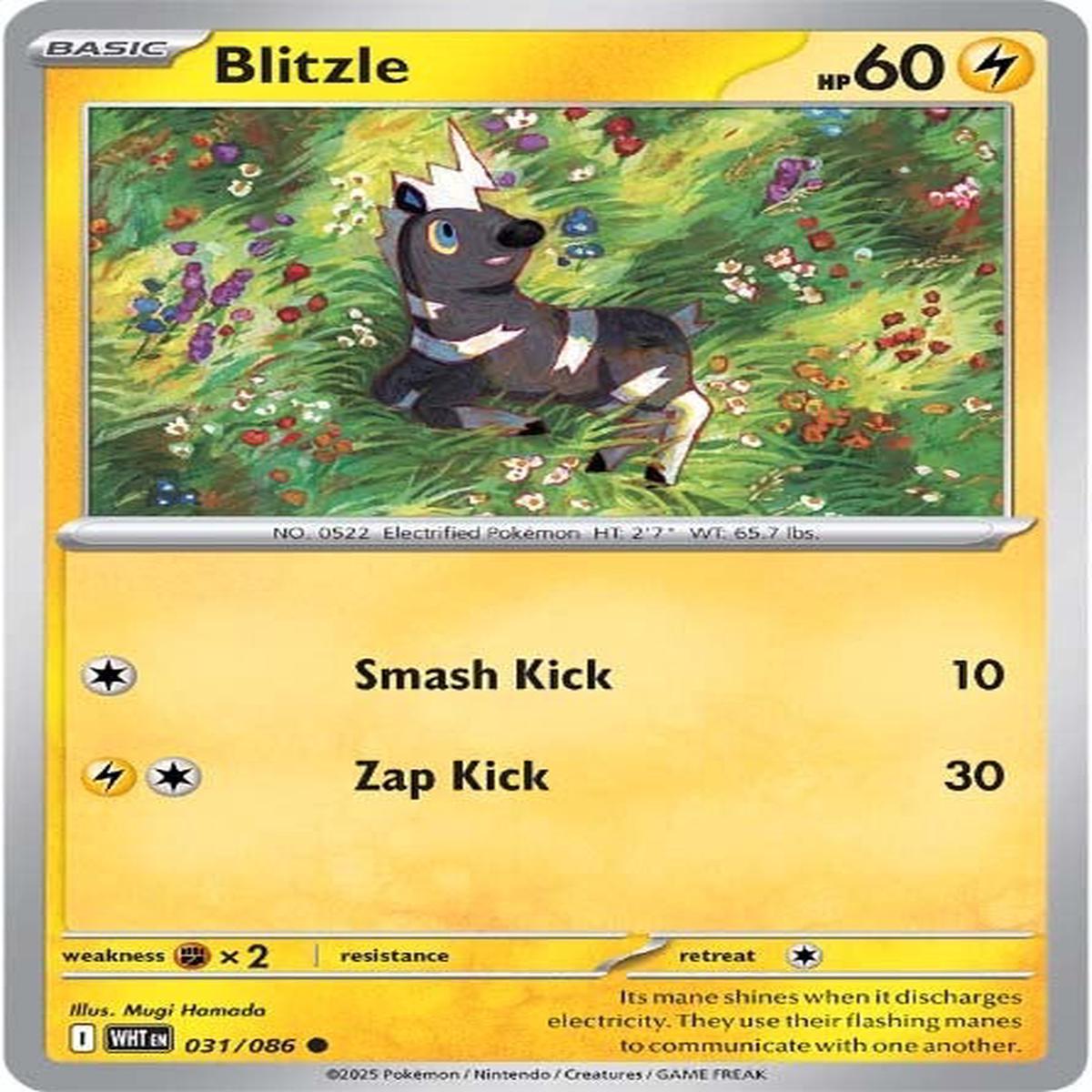 Blitzle 031/086 - Common