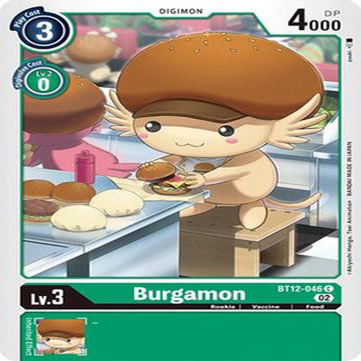 Burgamon BT12-046 C