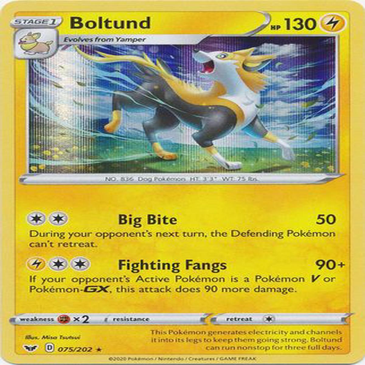 Boltund 075/202 - Holo