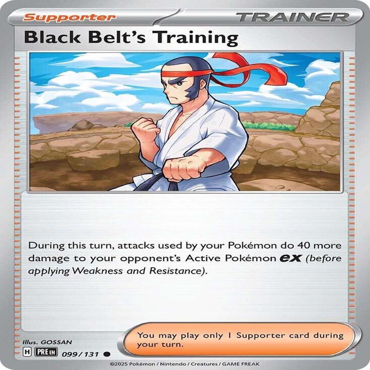 Black Belt's Training 099/131 - Common -