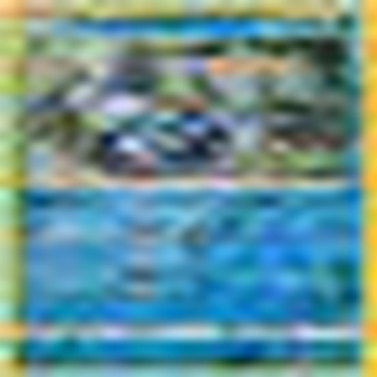 Araquanid 33/131 - Reverse Holo