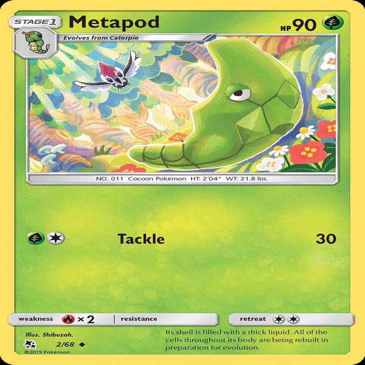 (2/68) Metapod - Hidden Fates