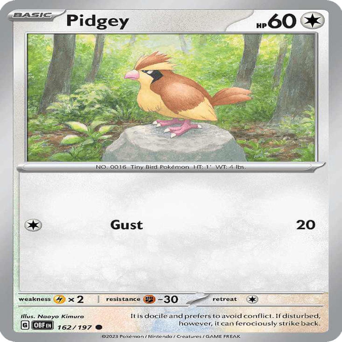 (162/197) Pidgey - Obsidian Flames
