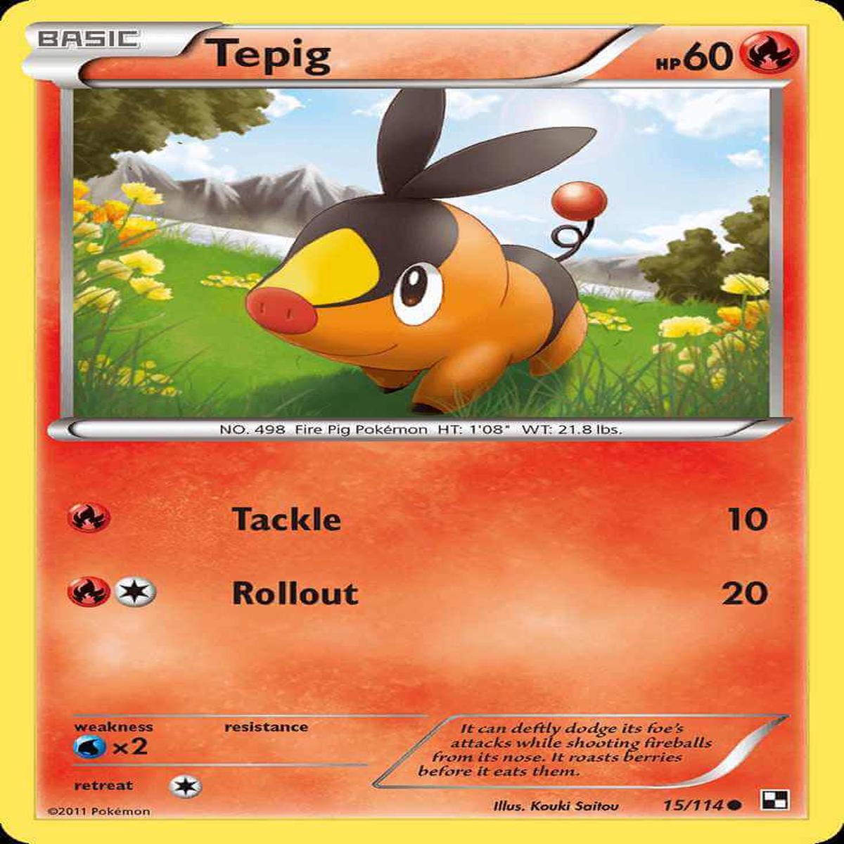 (15/114) Tepig - Black & White
