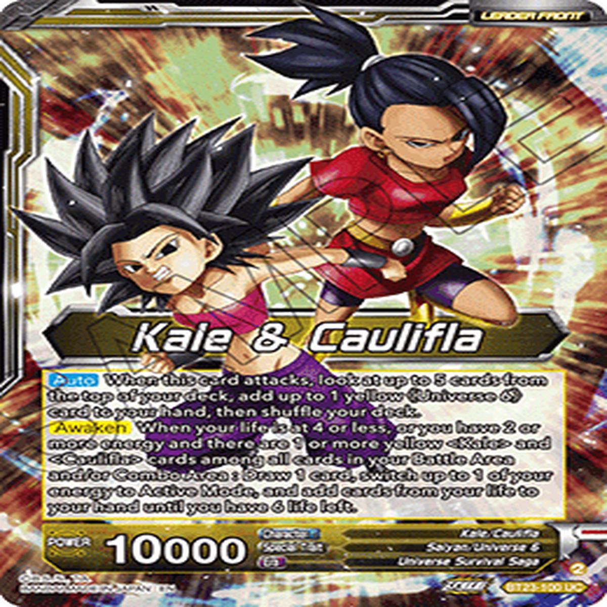 (100) Kale & Caulifla - Perfect Combination