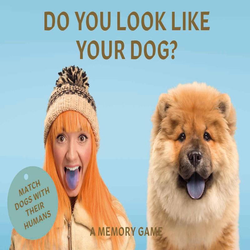 Do You Look Like Your Dog
