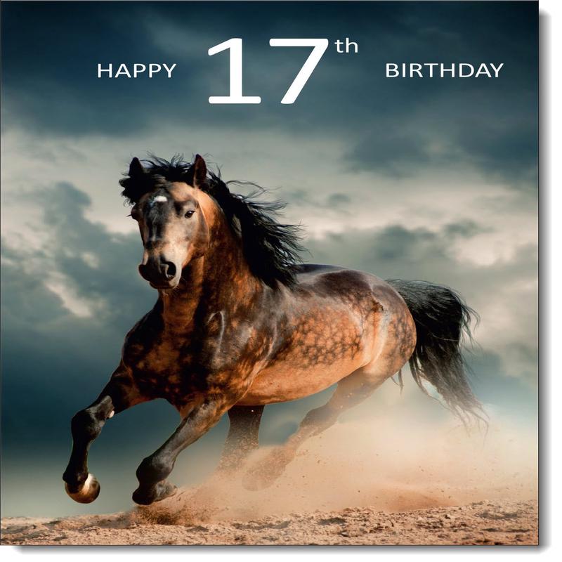 17th Birthday Card Age 17 for Him Wild Stallion