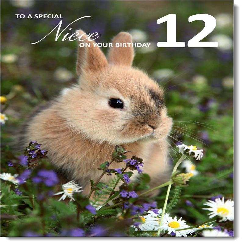 Niece 12th Birthday Card Age 12 Bunny Rabbit