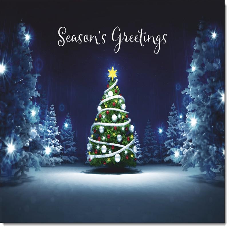 Seasons Greetings Christmas Card Christmas Tree Lights in Dark Sky