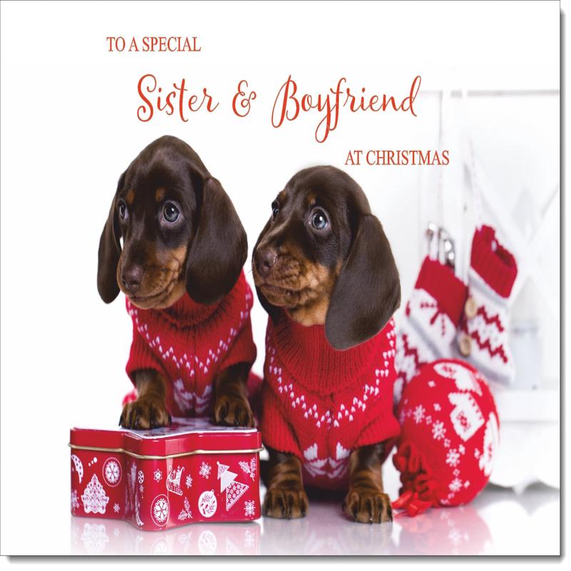 Sister & Boyfriend Christmas Card Dachshund Puppies in Christmas Jumpers