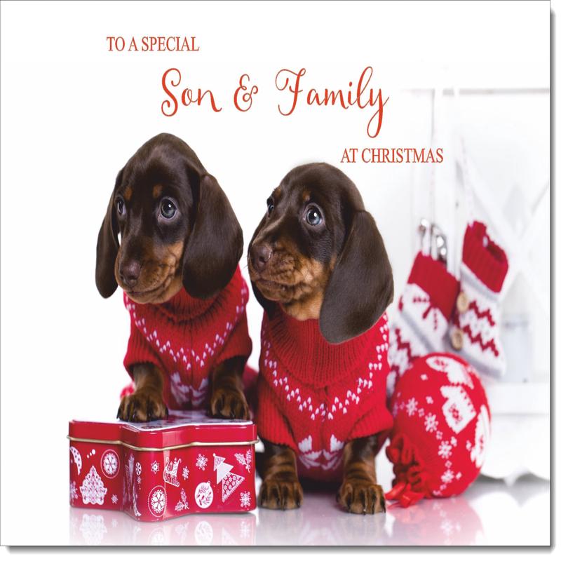 Son & Family Christmas Card Dachshund Puppies in Christmas Jumpers
