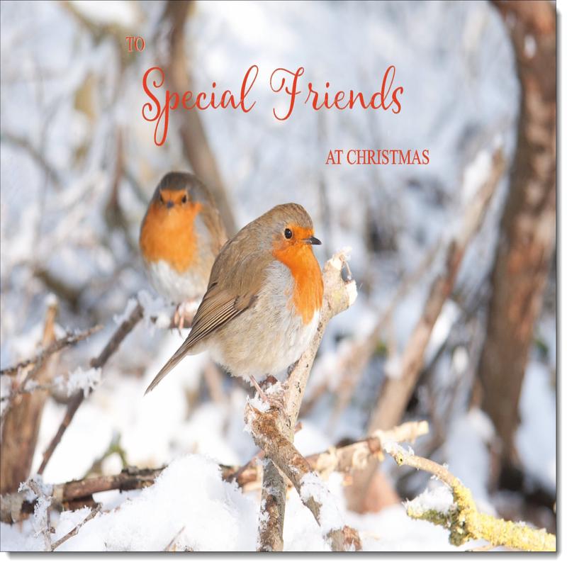 Special Friends Christmas Card Two Robins in Tree