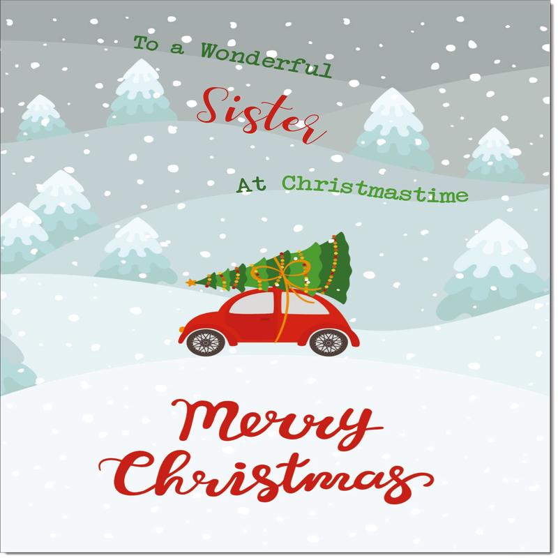 Sister Christmas Card Christmas Tree on Car