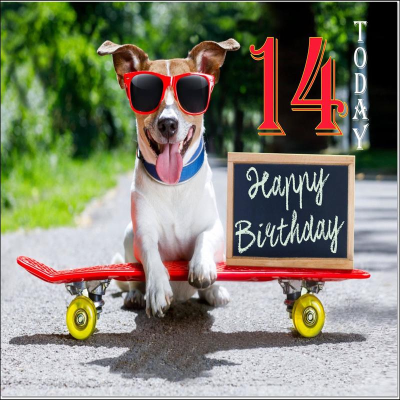 14th Birthday Card Age 14 for Boy Cool Skateboarding Jack Russell