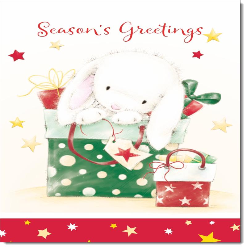 Seasons Greetings Christmas Card Cute Rabbit with Parcels