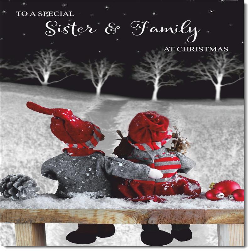 Sister & Family Christmas Card Cute Couple on a Snowy Night