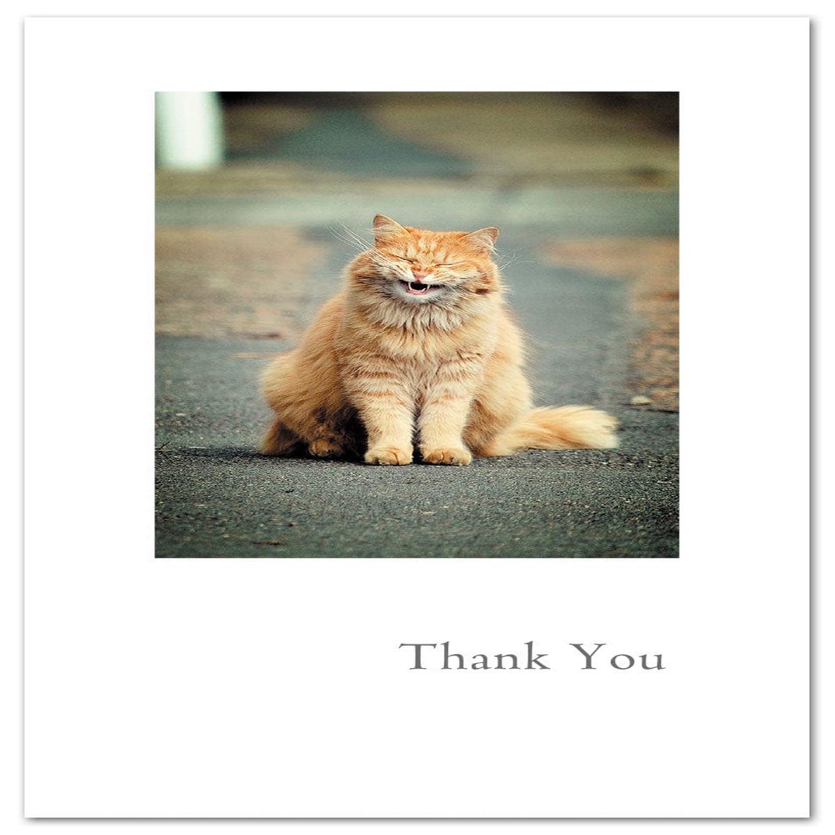 Smiling Cat card