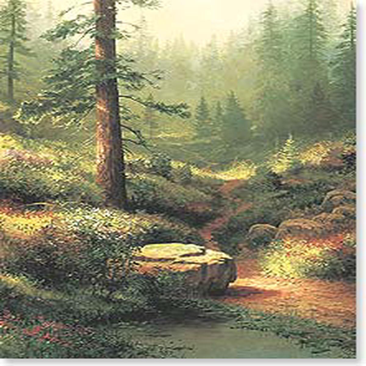 Sympathy Card | Forest