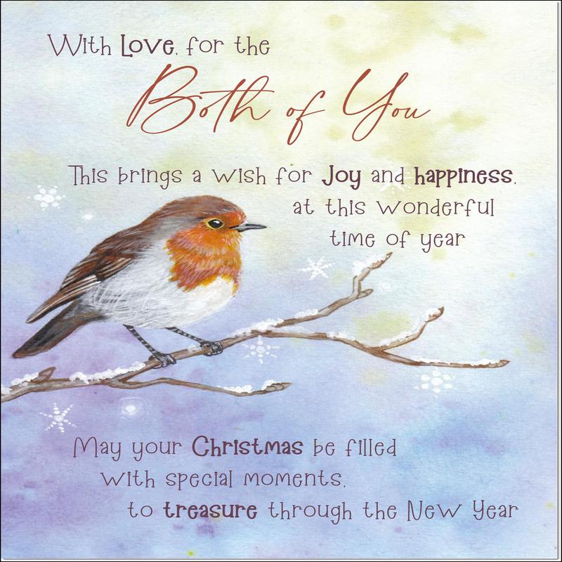 To Both of You Christmas Card Watercolour Robin In The Frost