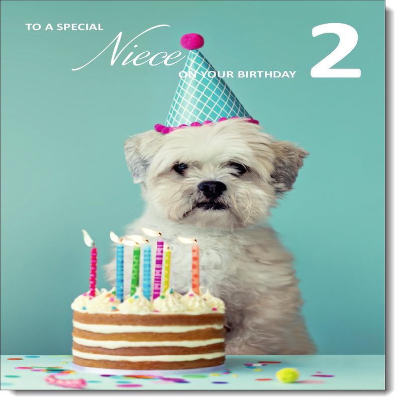 Niece 2nd Birthday Card Age 2 Birthday Dog