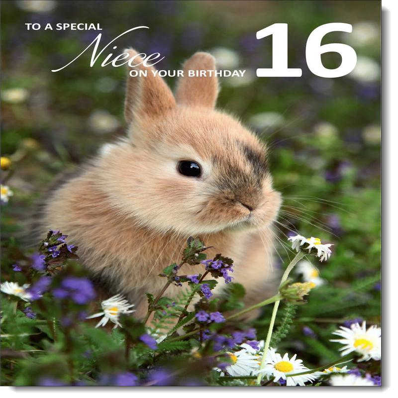 Niece 16th Birthday Card Age 16 Bunny Rabbit