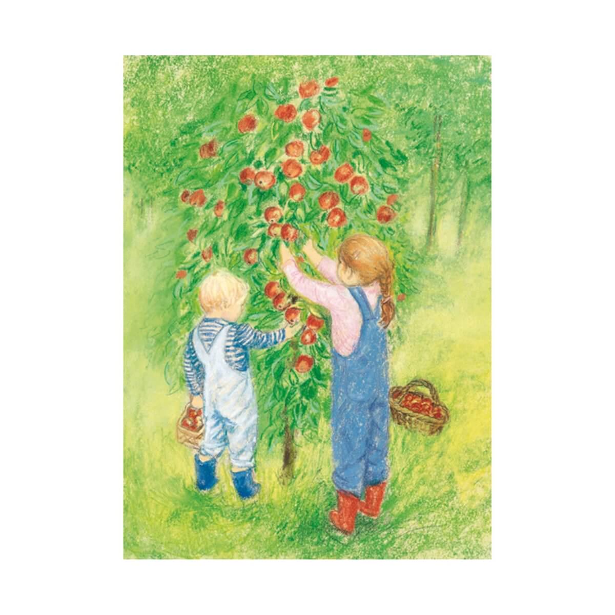 Postcards - Apple Harvest, pack of 5 cards