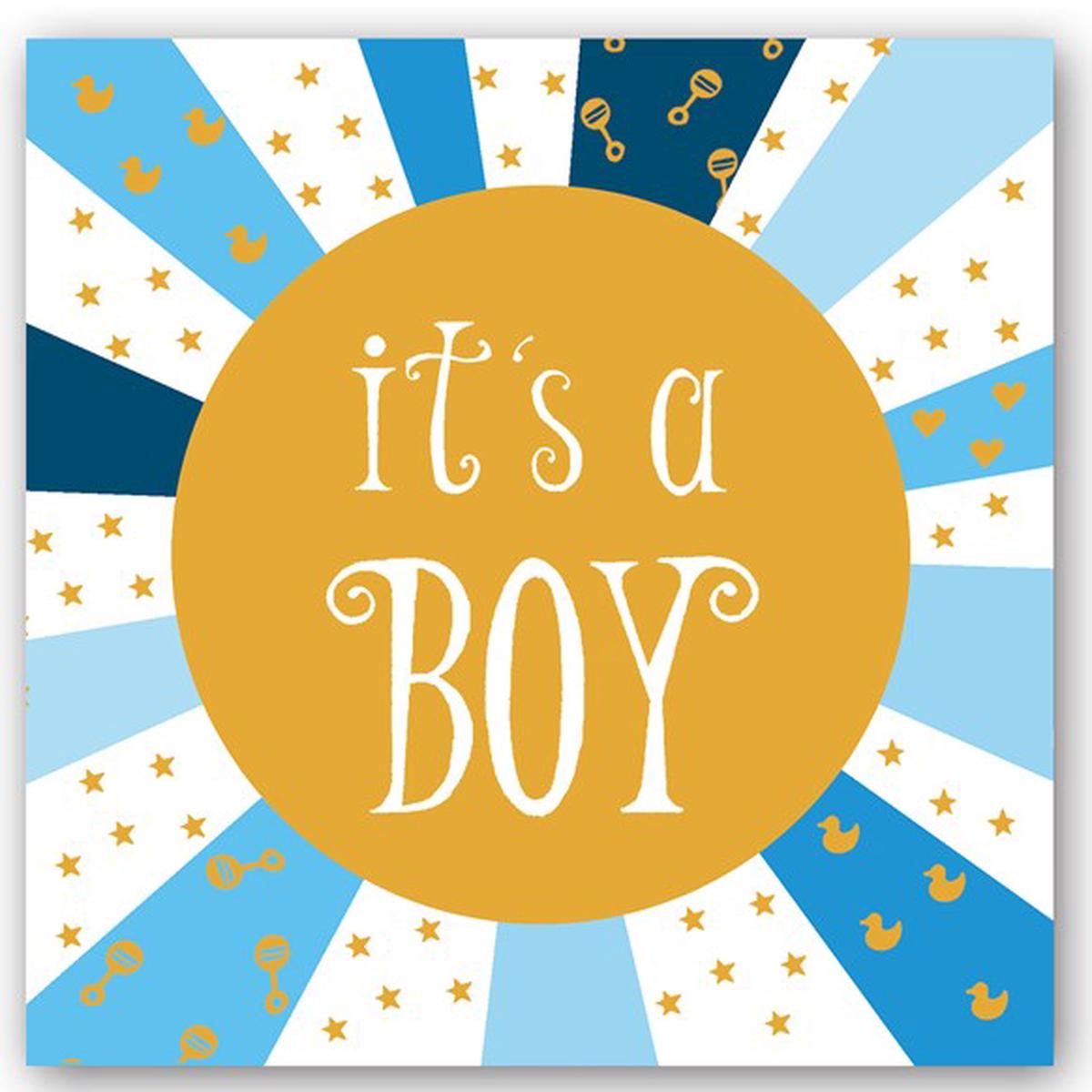 The Compost Heap - It's a Boy - Baby Birth Card*