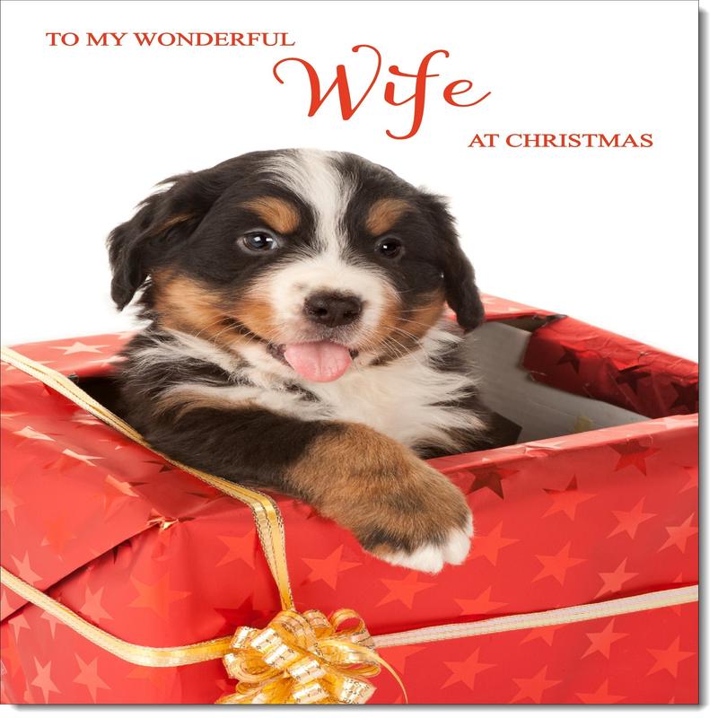 Wife Christmas Card Bernese Mountain Puppy in Parcel