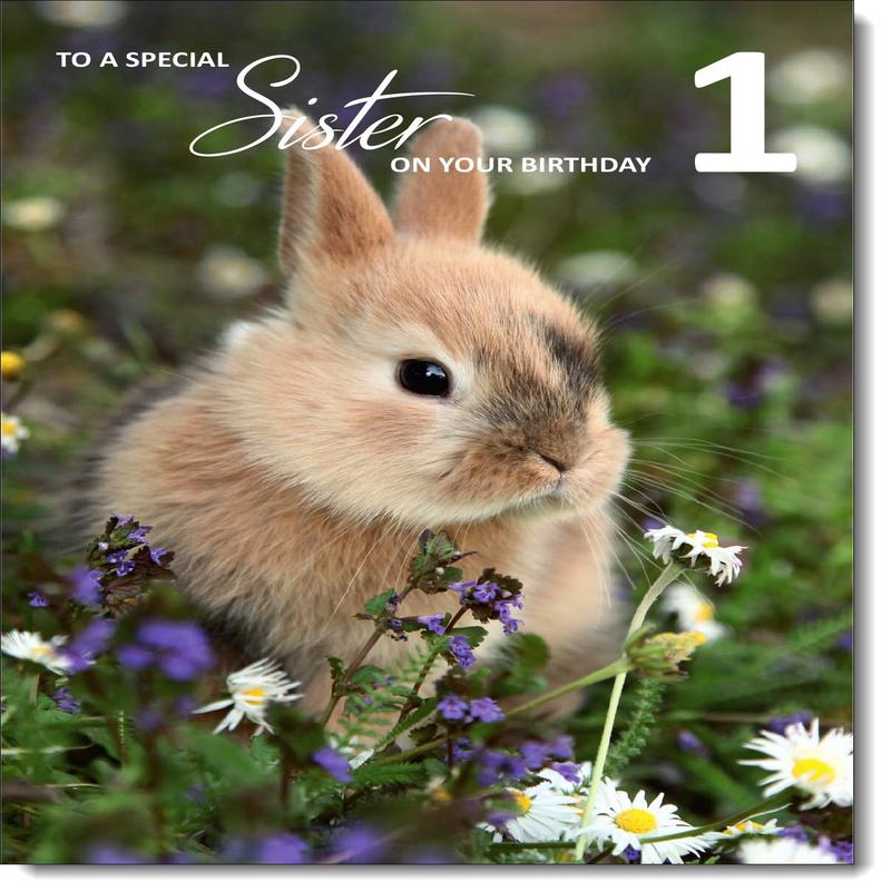 Sister 1st Birthday Card Age 1 Bunny Rabbit