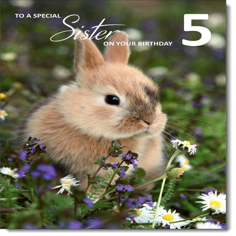 Sister 5th Birthday Card Age 5 Bunny Rabbit