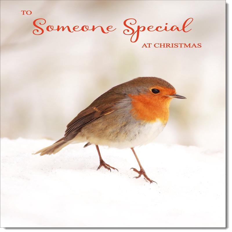 Someone Special Christmas Card Robin on Snow
