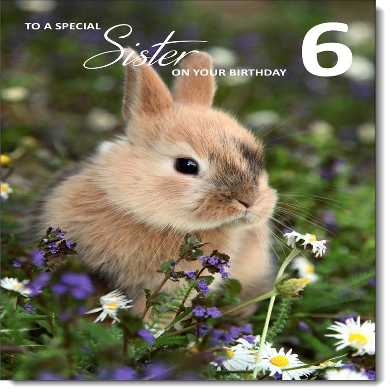 Sister 6th Birthday Card Age 6 Bunny Rabbit