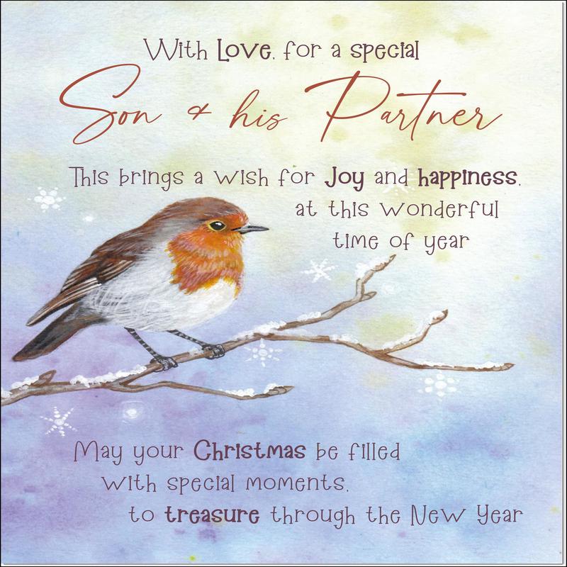 Son & Partner Christmas Card Watercolour Robin In The Frost