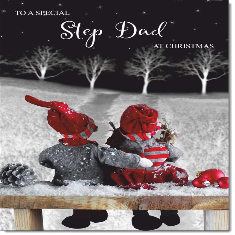 Stepdad Christmas Card Cute Couple on a Snowy Night