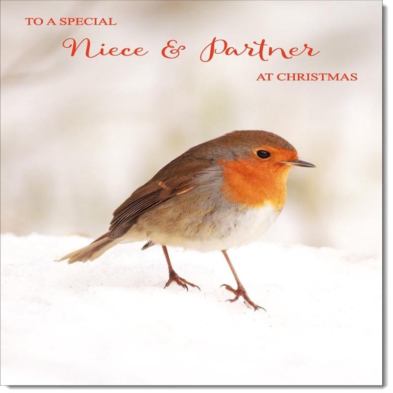 Niece & Partner Christmas Card Robin on Snow