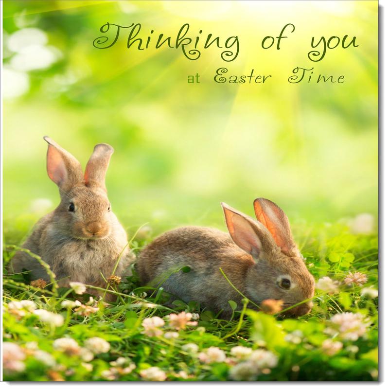 Thinking Of You Easter Card Two Bunnies on Grass