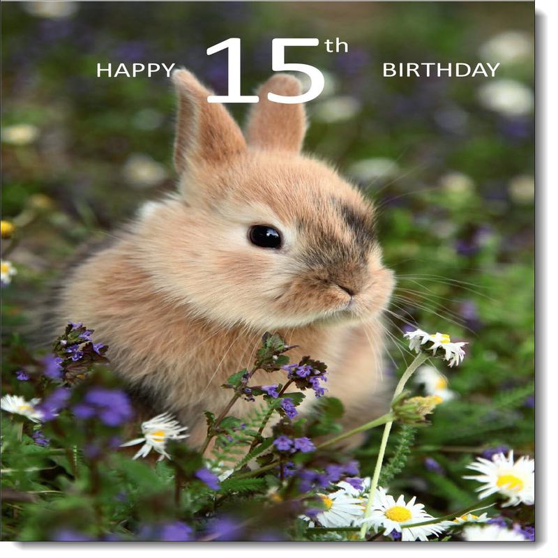 15th Birthday Card Age 15 Bunny Rabbit