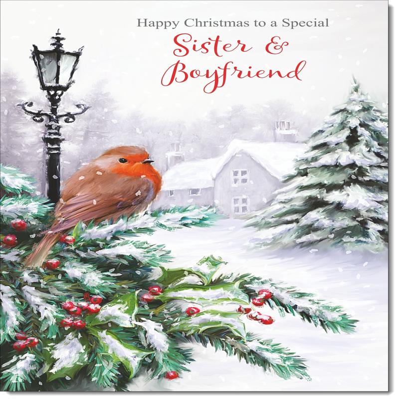 Sister & Boyfriend Christmas Card Robin in Winter Scene
