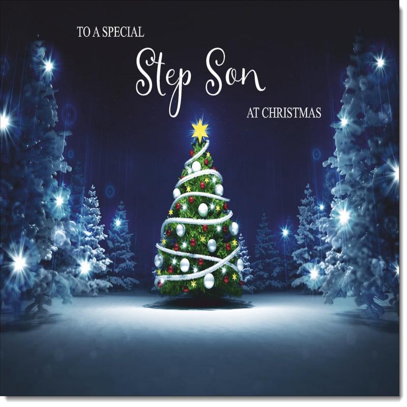 Stepson Christmas Card Christmas Tree Lights in Dark Sky