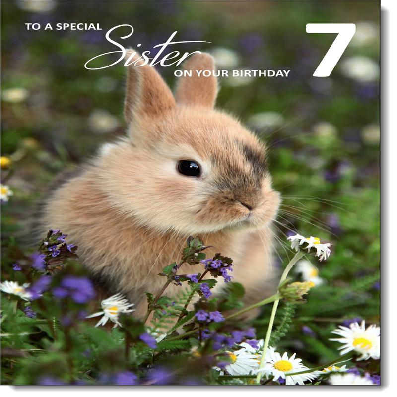 Sister 7th Birthday Card Age 7 Bunny Rabbit