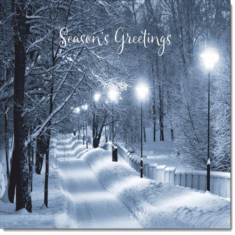 Seasons Greetings Christmas Card Snowy Street Scene