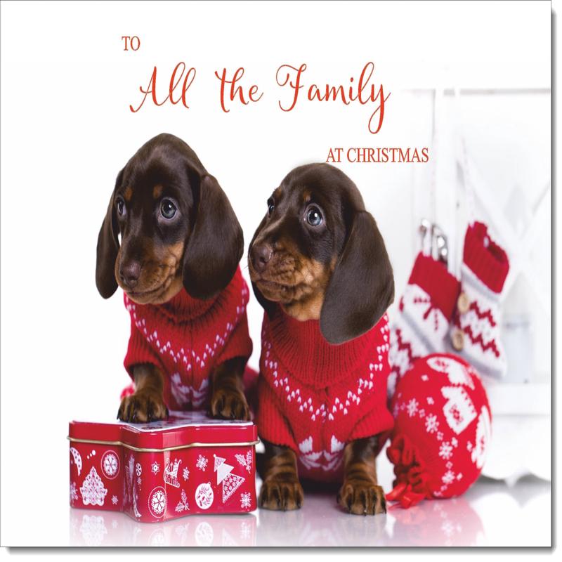 To All The Family Christmas Card Dachshund Puppies in Christmas Jumpers