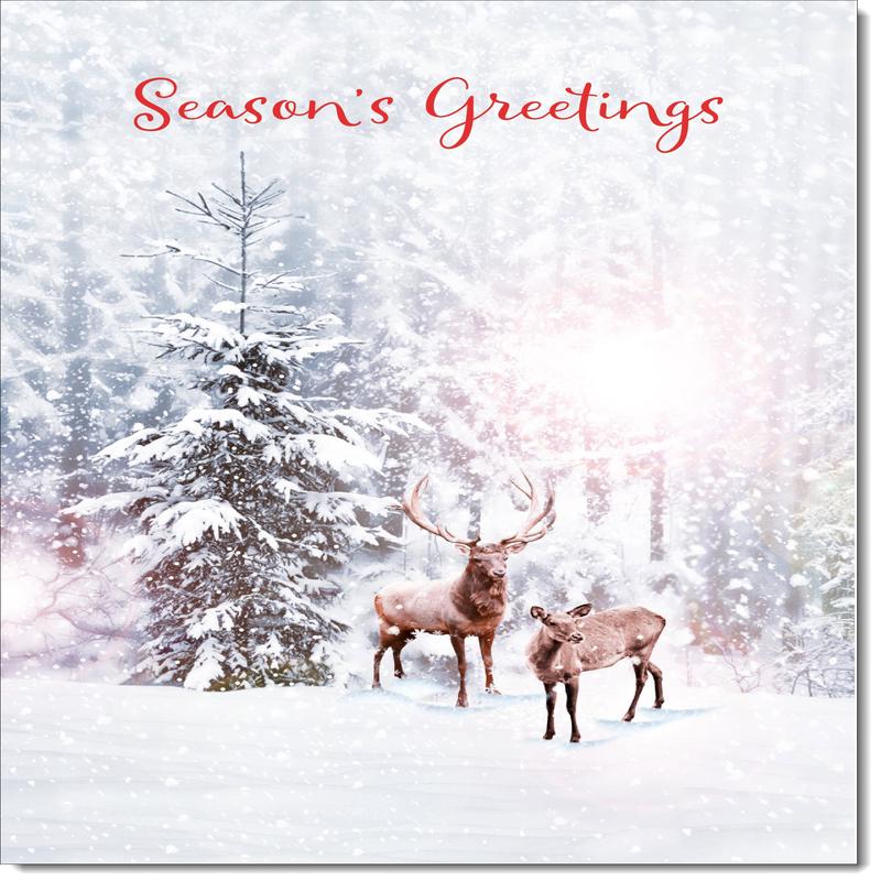 Seasons Greetings Christmas Card Stag and Doe in Snowy Forest