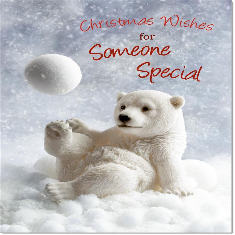 Someone Special Christmas Card Polar Bear and Snowball