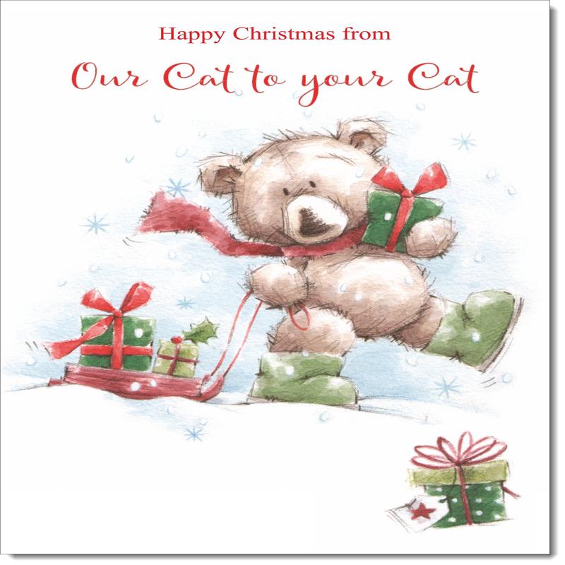 Our Cat To Your Cat Christmas Card Cute Bear with Sled