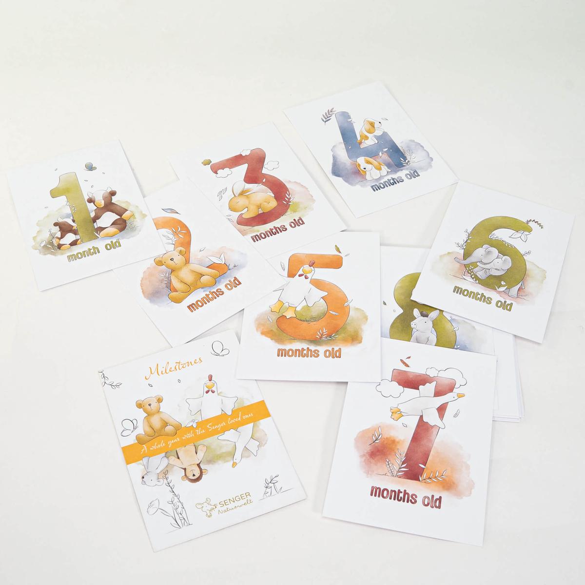 SENGER Milestone Cards pack of 16