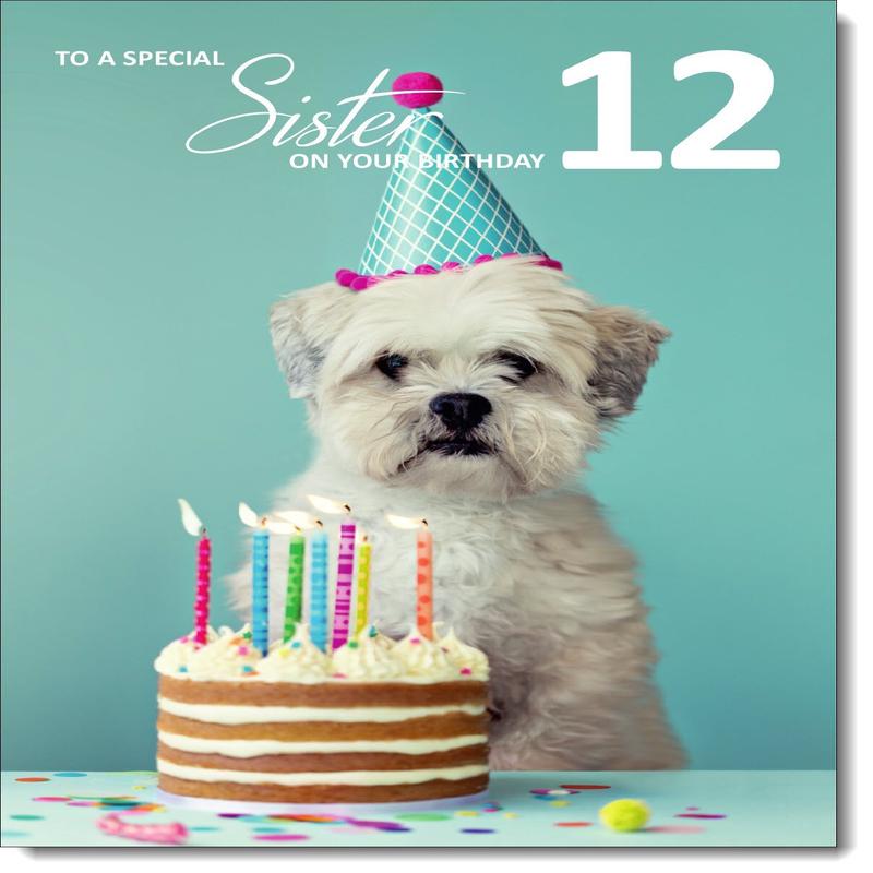 Sister 12th Birthday Card Age 12 Birthday Dog