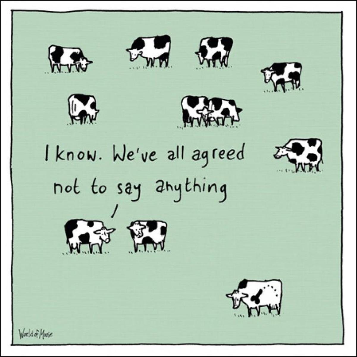 World of Moose "Cows" Blank Greeting Card