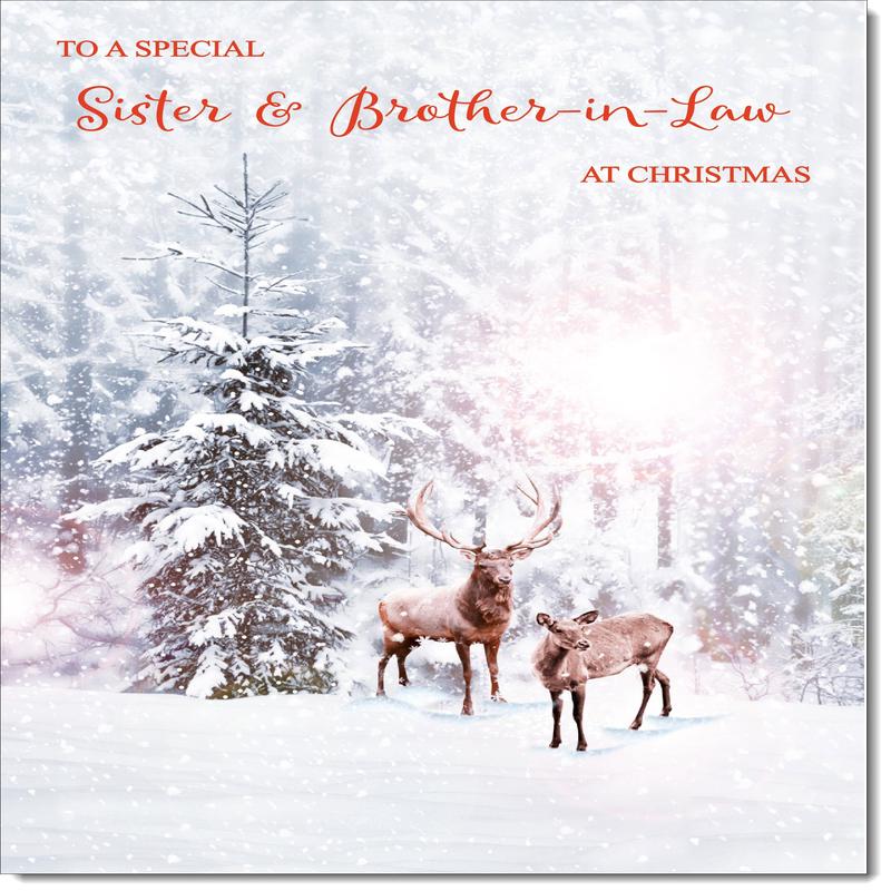 Sister & Brother-in-Law Christmas Card Stag and Doe in Snowy Forest