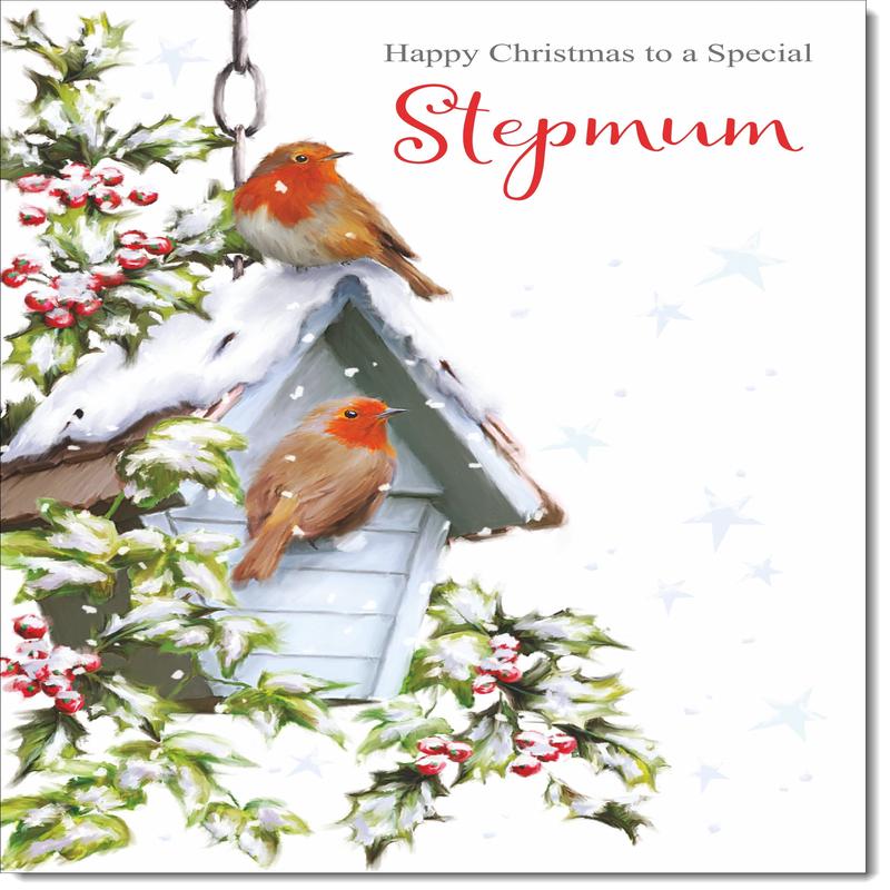 Stepmum Christmas Card Two Robins in Snow